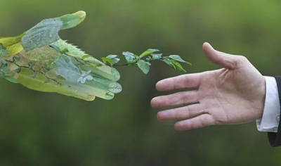 首創(chuàng)！將陽光和二氧化碳直接轉化為可再生燃料