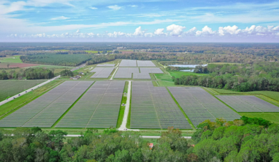 商務(wù)部：將與阿拉伯國(guó)家推動(dòng)光伏、風(fēng)能等可再生能源領(lǐng)域創(chuàng)新發(fā)展