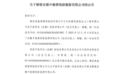 設(shè)立程序疑似違規(guī)！一光伏企業(yè)被要求解散