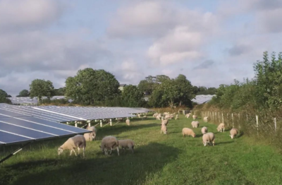 中广核新能源：1-9月中国太阳能项目增加0.7%