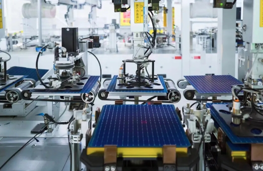 微信截图_20240802094705