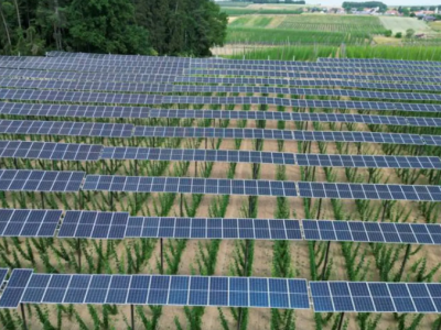 净碳目标！到2030年全球可再生能源容量必须平均每年增加1000吉瓦